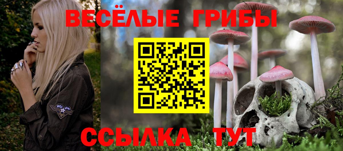 Галлюциногенные грибы мицелий  Вход с VPN  Стрежевой 